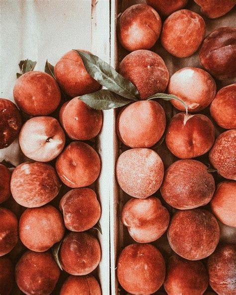 Персики | Food, Peach, Peachy