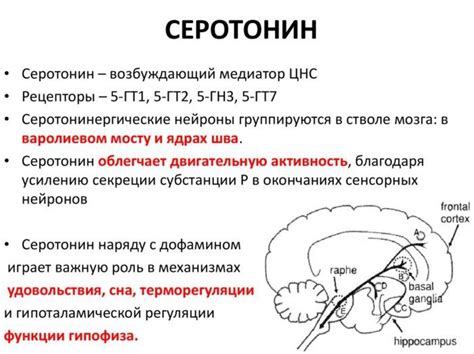 Назначение и применение серотонина и мелатонина