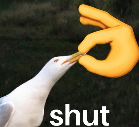 Bird Shut Meme in a higher quality/HD (2264x2076px) : r ...