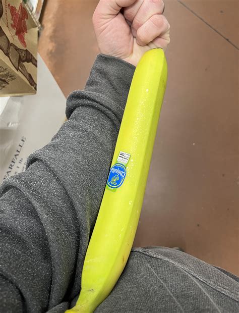 Dayforce Trader Joe's: The Hidden Costs You Need to Avoid - 45tcp0i