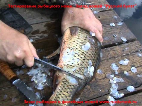 Тестирование рыбацкого ножа. Нож для чистки рыбы от чешуи видео. Отзыв ...