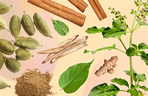 Ayurvedic Herbs and Their Health Benefits - ayurvedicinfo.com