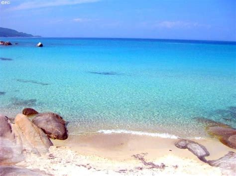 13 best images about Sarti Greece on Pinterest | Seasons, Beautiful and ...