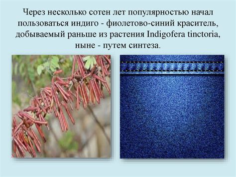 Краски. Виды красок - презентация онлайн