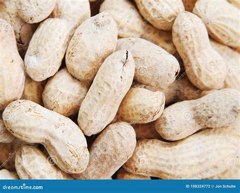 peanuts food  festa junina  typical brazilian party snack royalty