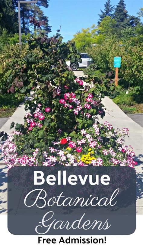 Bellevue Botanical Garden - Free For The Entire Family! - Thrifty NW Mom