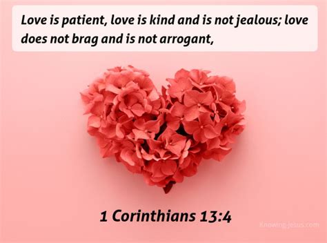 bible verses  love