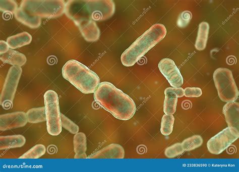 bacteria bacteroides fragilis stock illustration illustration