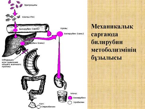 Сарғаю синдромы - презентация онлайн