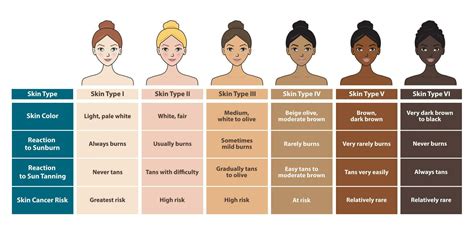 Infographic of skin types with cute cartoon character vector isolated ...