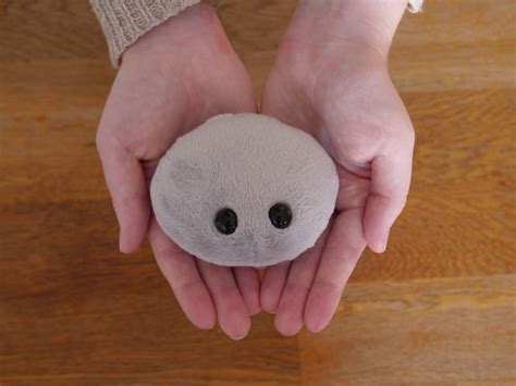 Plush Pet Rock · Whimsical Squid Creations · Online Store Powered by Storenvy