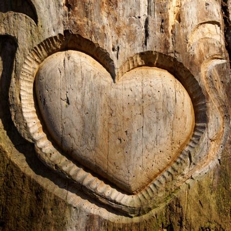 died suddenly  feature documentary alicespringstomind