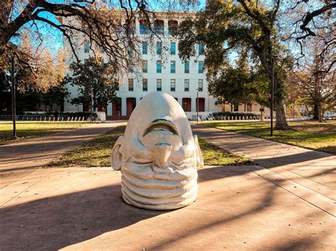 eat  davis ca  college town   enjoy