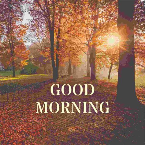 Good Morning Pictures Photo - Infoupdate.org