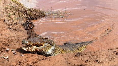 kenya tourist attractions places  visit  kenya