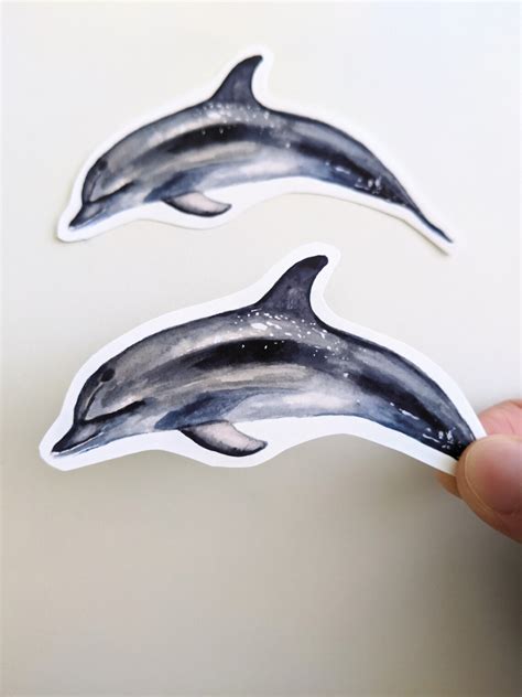 Dolphin Stickers Watercolor Vinyl Dolphin Stickers for Water - Etsy