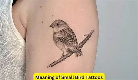 Meaning of Small Bird Tattoos: Unveiling Hidden Symbols - Spark Lark