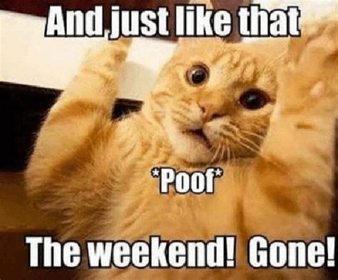 72 Funniest Weekend Meme - Meme Central