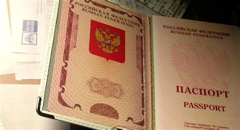 Russian out-in visa runs ‘same as other nationalities’ – Immigration chief