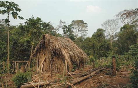 Amazing Rare Footage Shows Last Living Member of Isolated Amazon Tribe ...