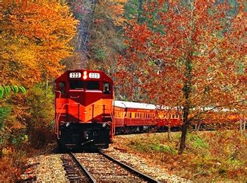 Adirondack Scenic Railroad’s Fall Foliage Train | TrailblazerGirl