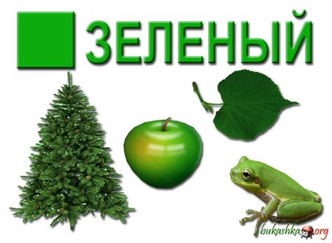 Фото зеленый цвет » DreemPics.com - картинки и рисунки на рабочий стол ...