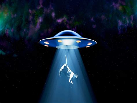 Luis Ferrero Litrán présente « Miss Moon » : un roman entre deux mondes