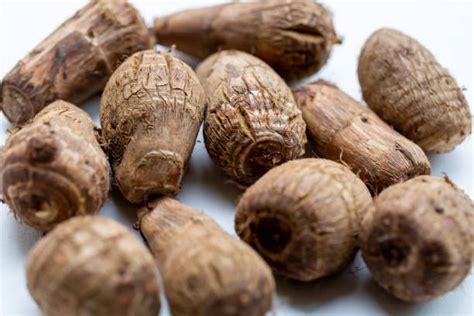 eddoe stock  pictures royalty  images istock