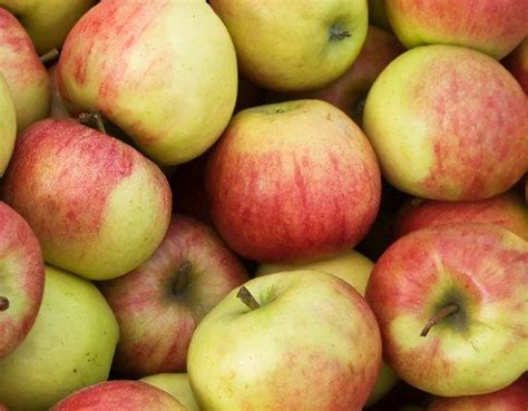 10 Healthiest Foods | LoveToKnow Health & Wellness