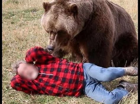 A Grizzly Attack man - Bear Attack on Human - YouTube