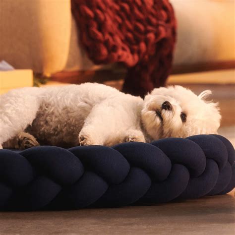 Why Do Puppies Sleep On Their Back