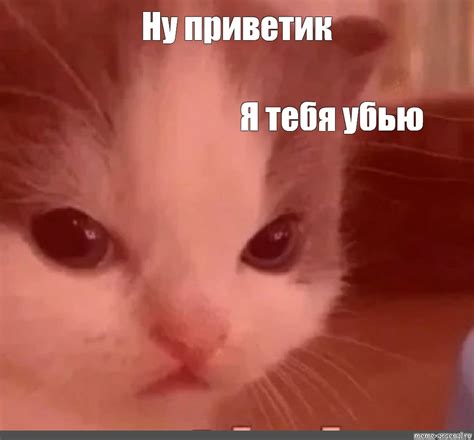 Создать мем "кот, мемный кот, милые котики смешные" - Картинки - Meme ...