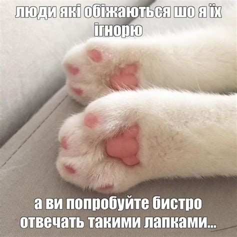 Meme: "люди які обіжаються шо я їх ігнорю а ви попробуйте бистро ...
