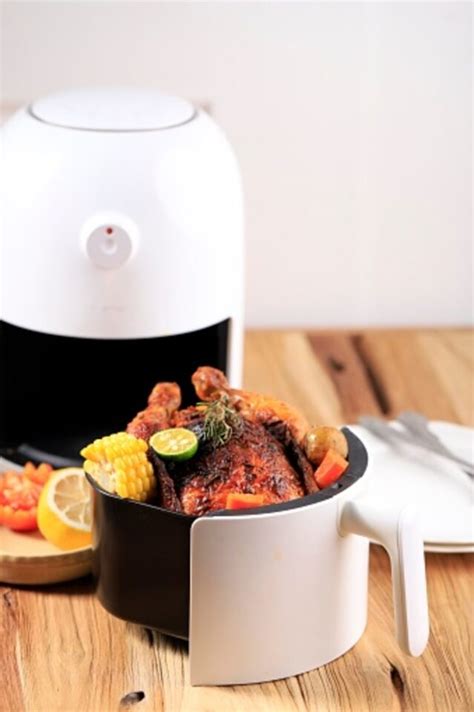 Pampered Chef Air Fryer Reviews (What makes it so good?) – Yum Fryer