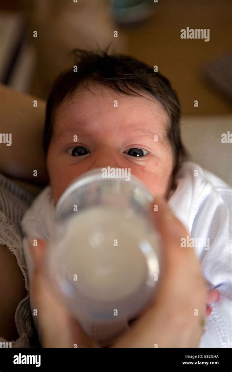 newborn baby girl feeding  milk bottle stock photo alamy