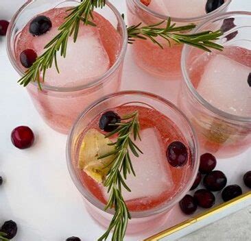 Sparkling Cranberry Kombucha Mocktail - Ruler Site