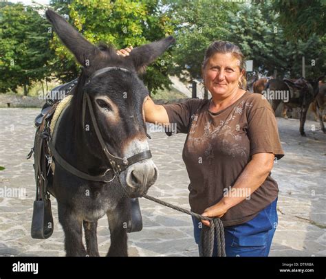 woman with donkey, female donkey keeper italy Stock Photo - Alamy