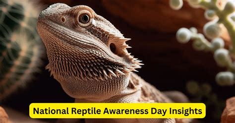 national reptile awareness day embrace  beauty  importance