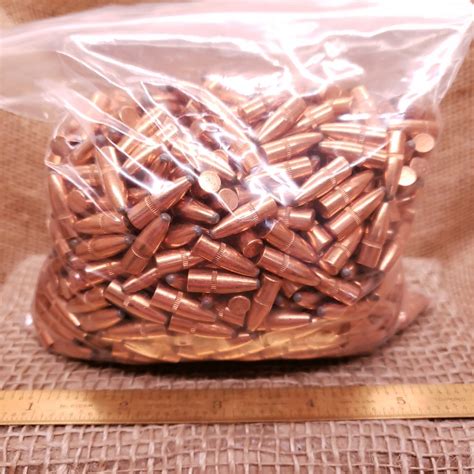 850 Pack Remington 22 Caliber .224" 55 Grain PSP Bullets | For ...