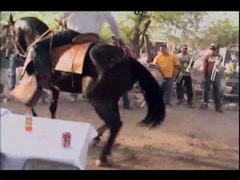 Bailando caballo - YouTube