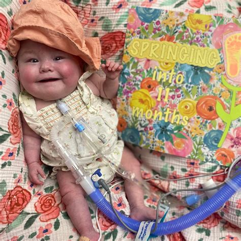 Hazel Rose's Journey added a new photo. - Hazel Rose's Journey