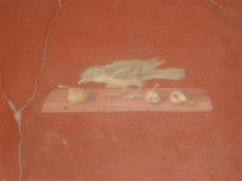 Oplontis | Fresco, Pompeii and herculaneum, Ancient romans