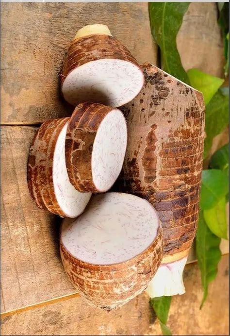 Taro at Rs 45/kg | तारो रुट in Dimapur | ID: 25600263933