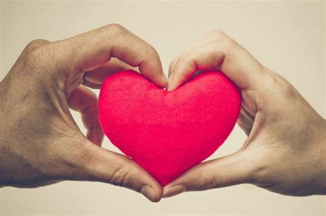 language  love