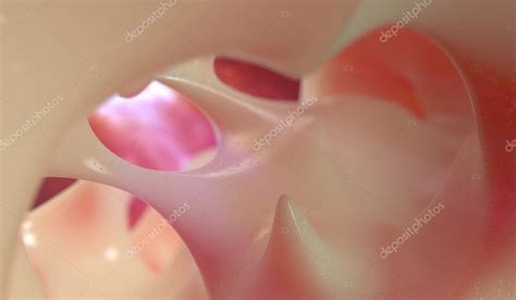 3d render medical illustration of the bone structure Stock Photo by ...