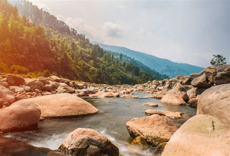 bagh wallpaper   royalty  licensable stock  shutterstock