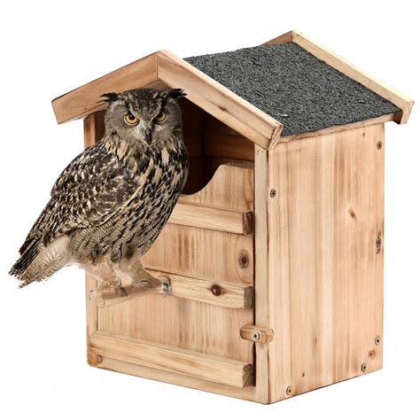 Will Owls Nest In Boxes at Ronald Pepper blog