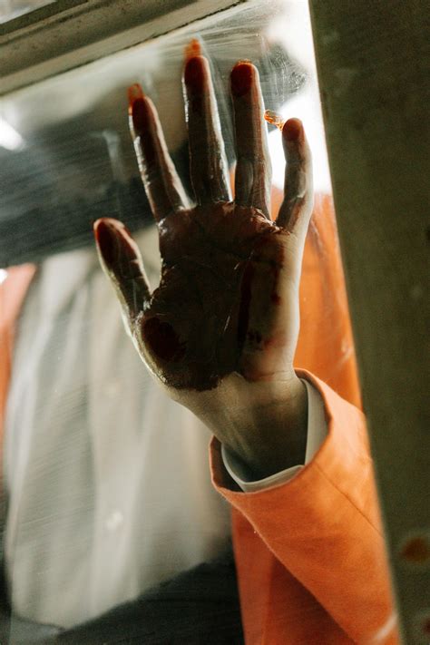 stain      stain stock  hd images