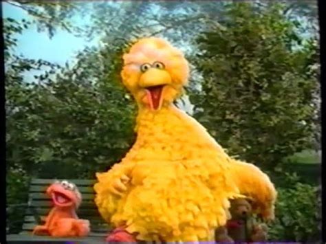 Sesame Street Big Bird Feet