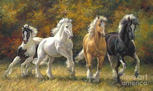 Gypsy Horse Painting at PaintingValley.com | Explore collection of ...